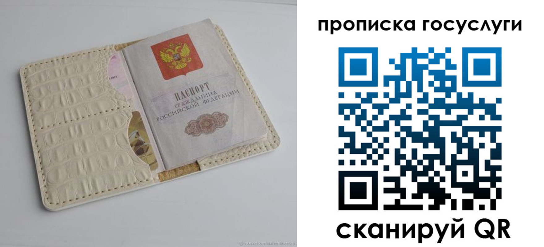 прописка в Сольцах