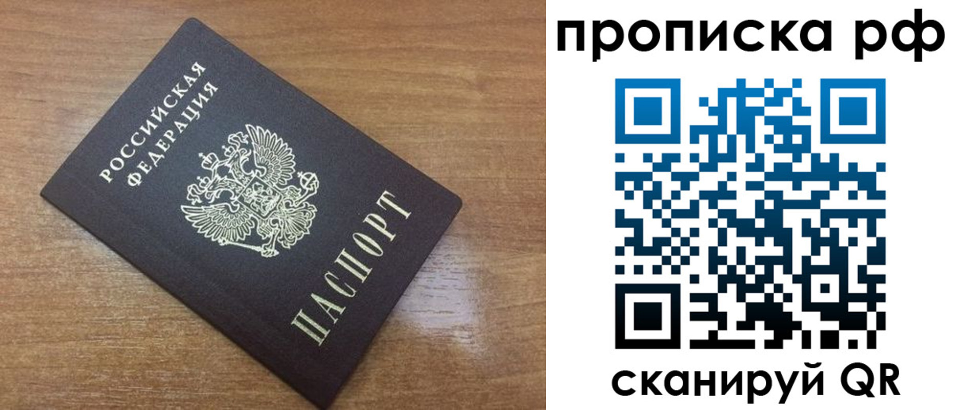 прописка 2025 в Сольцах